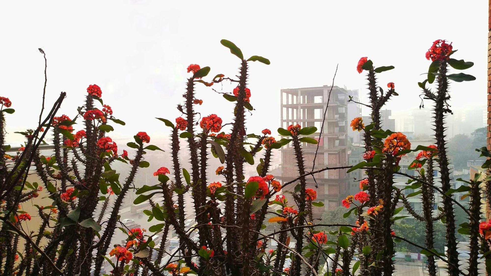Hotel Afford Inn Dhaka Exteriör bild